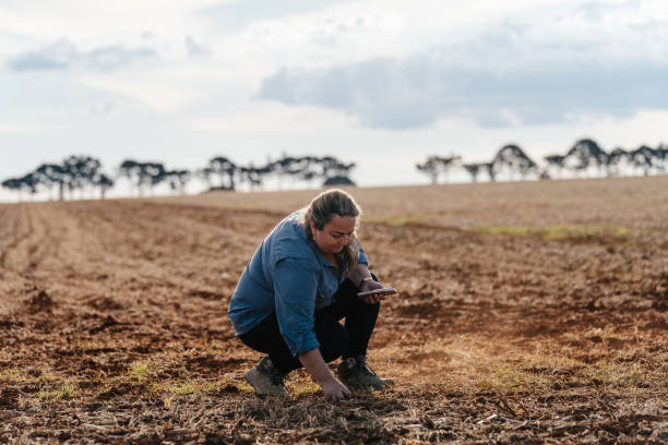 istock Female agronomist checking newly planted soil 2203137006
