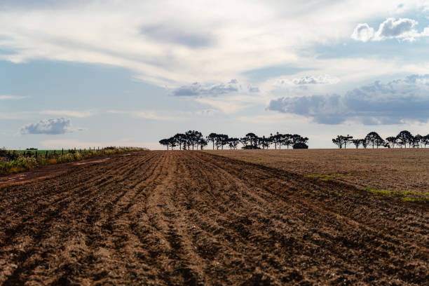 Newly cultivated soil on the farm