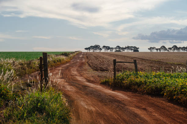 Dirt road on the farm
