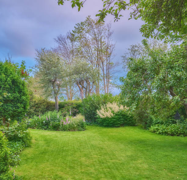 A tranquil summer view of a lush garden in Denmark, featuring vibrant greenery, blooming flowers, and a serene ambiance. The setting exudes peace, inviting reflection and relaxation amidst nature's beauty.