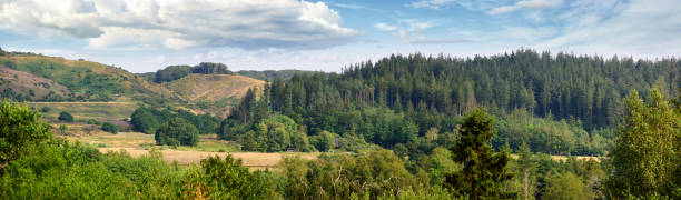 Serene panoramic view of a lush forest spanning rolling hills and an expansive tree canopy under a partly cloudy sky. The picturesque setting captures the tranquility of untouched nature and thriving woodland.