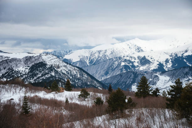 Log in the woods. Caucasus mountains scenery on a cloudy day.