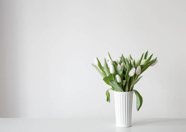 istock white  tulips in white vase on background wall 2203140175