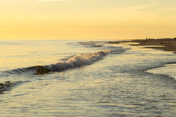 The setting sun casts a warm glow over the calm ocean, while gentle waves ripple onto the sandy beach, creating a tranquil environment for visitors.