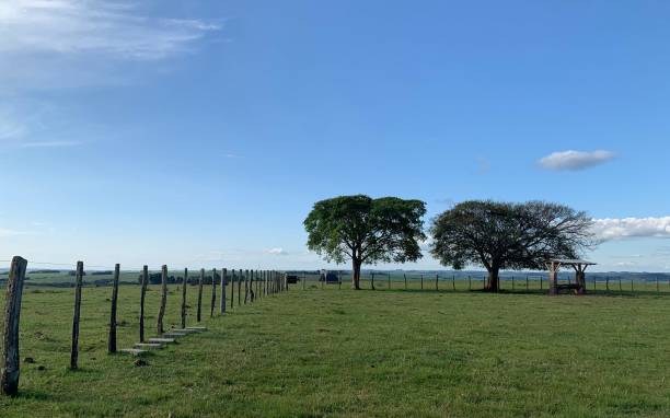 istock Pastoral fence and tree landscape 2203142137