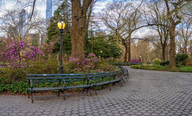 istock Central Park in spring, early morning 2203142160