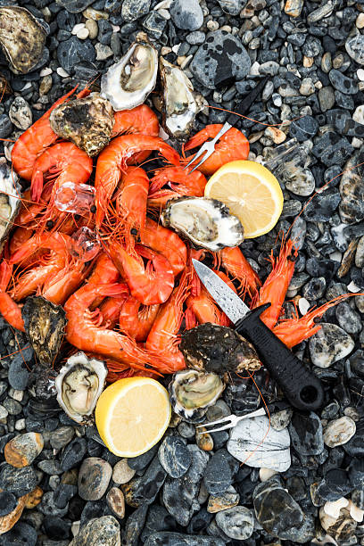 Fresh oysters and prawns arranged on a pebble beach with lemon slices and a shucking knife, capturing a rustic seafood experience