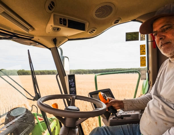 istock Farmer Operating Combine Harvester in Wheat Field 2203142391