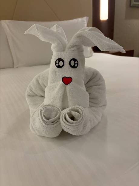 istock dog from towel in hotel 2203142398