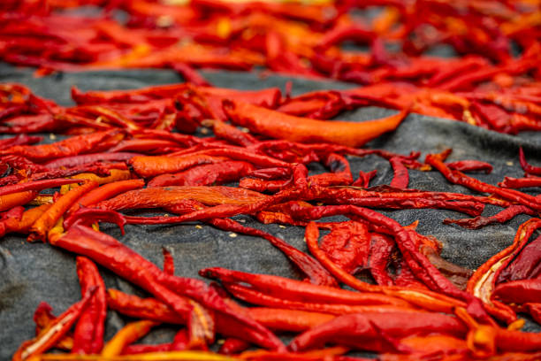 Dried Red Peppers June 02,2023 Birecik, Sanliurfa, Turkey.