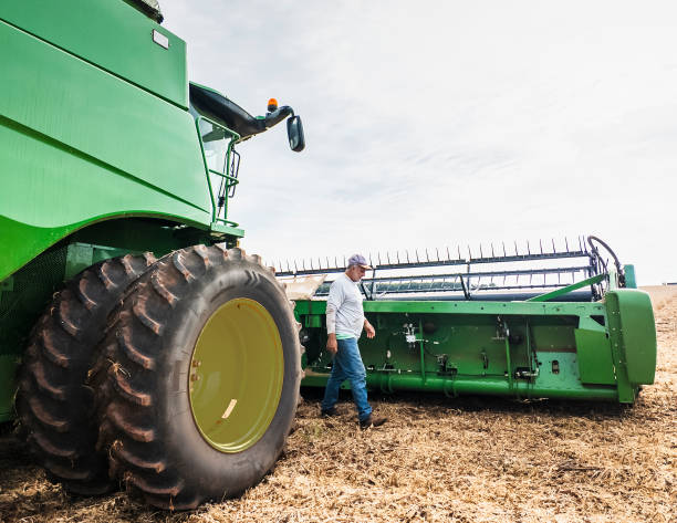istock Farm worker Inspecting Green Combine Harvester in Field 2203142429