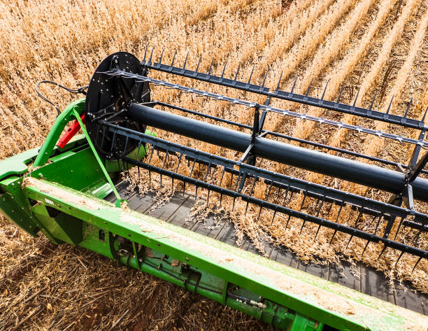 A combine harvester is seen in action, cutting through a vast soybean field. The image captures the machine's front view as it processes the crops, highlighting the efficiency and scale of modern agricultural practices. The clear sky and expansive field emphasize the productivity of the harvest.