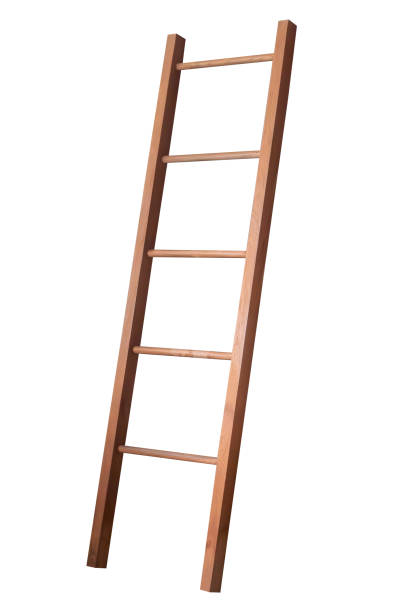 Wall and Ladder