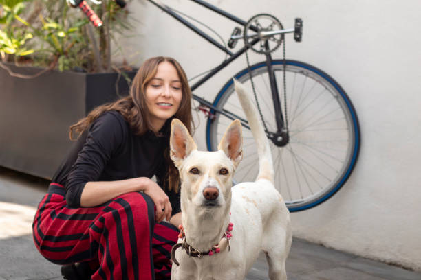 istock Young woman crouching next to white dog with bicycle in background 2203146798