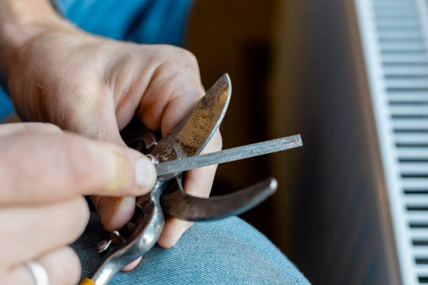 istock A man sharpens garden pruning shears with a file. Garden tool maintenance 2203150178