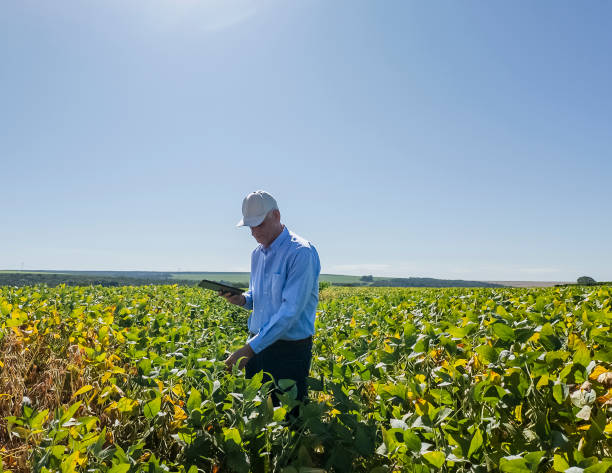 istock Agricultural Field Inspection with Digital Tablet 2203151613
