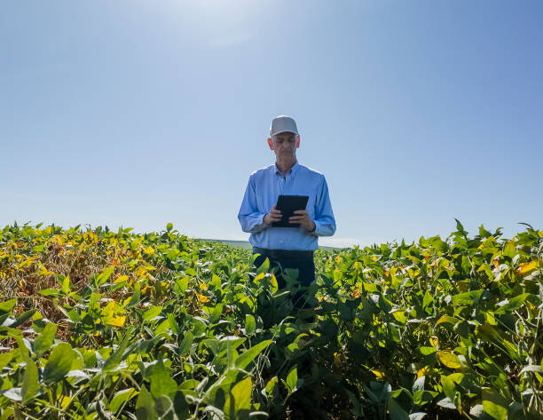 istock Agricultural Field Inspection with Digital Tablet 2203151630