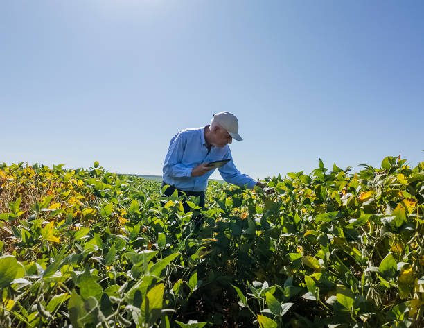 istock Agricultural Field Inspection with Digital Tablet 2203151656