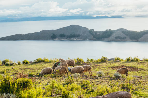 Orange sunset over Taquile Island, on the lake Titicaca, Peru