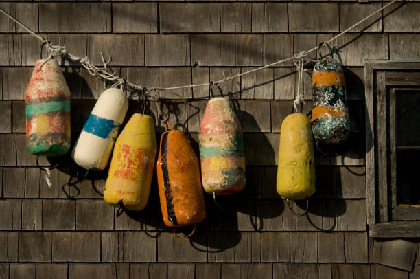 istock Lobster Buoys hanging on a shingled wall 2203153517