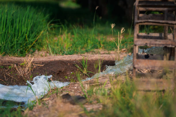 istock Watering nature of rice field on rice paddy 2203154834
