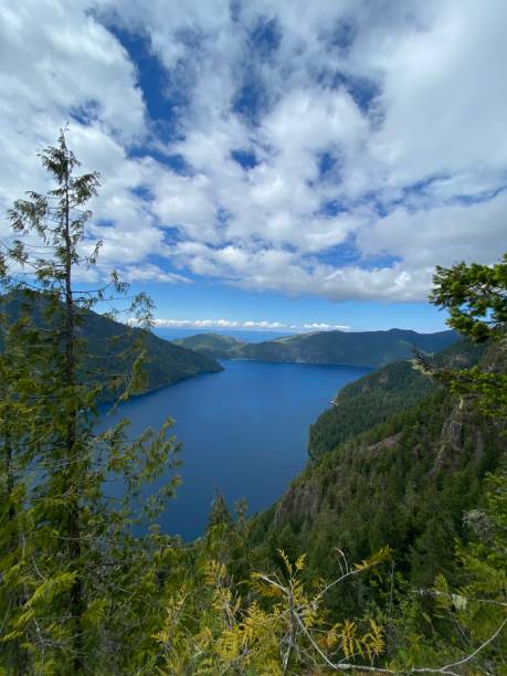 istock View of Canadian Border from Washington 2203156838