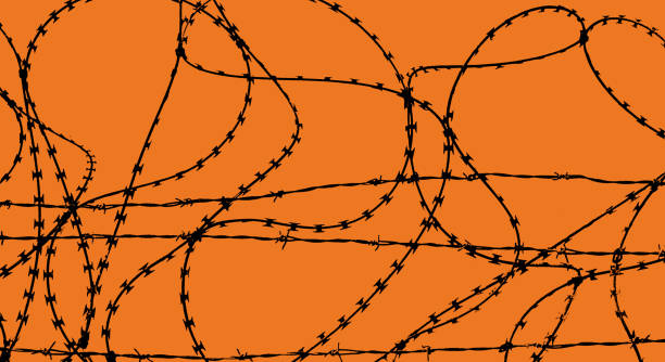 istock Razor wire and barbed wire on orange background 2203158446