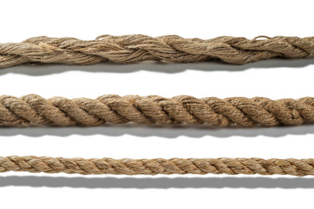 istock Closeup view set of various straight ropes string isolated over white background 2203159211
