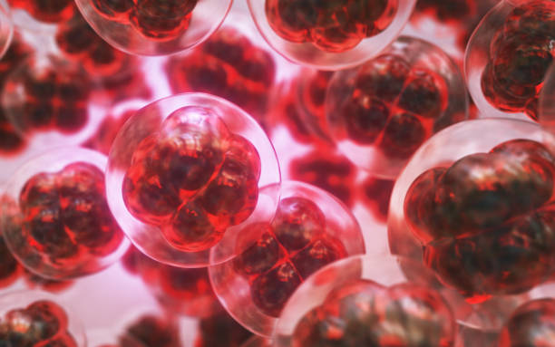 istock Human Cell Embryonic Stem Cell, Depth Of Field 2203159240