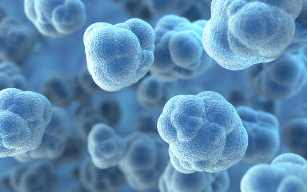 istock Human Cell Embryonic Stem Cell, Depth Of Field 2203159245