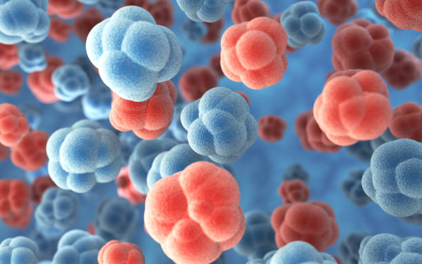 3d render Macro Human Cell Embryonic Stem Cell, Medical and Macro Concept (Depth Of Field)