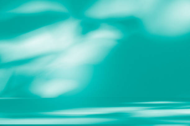 istock Studio style background wall decoration presentation uses white and green tones. with shadows cast from a nearby window, concept creating a decorative 2203162257