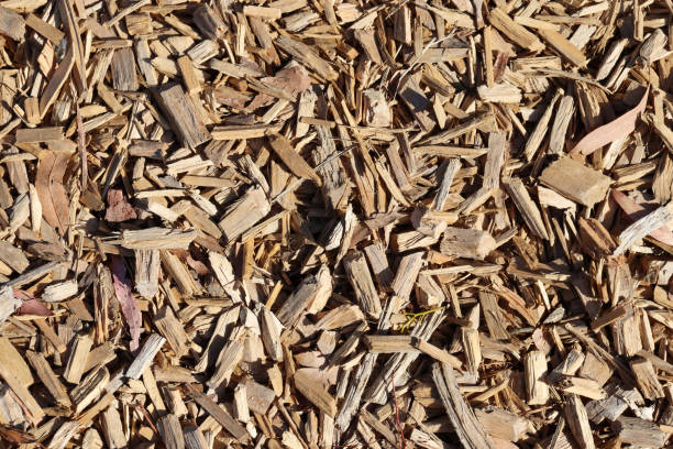 istock background of wood chips on the ground 2203175246