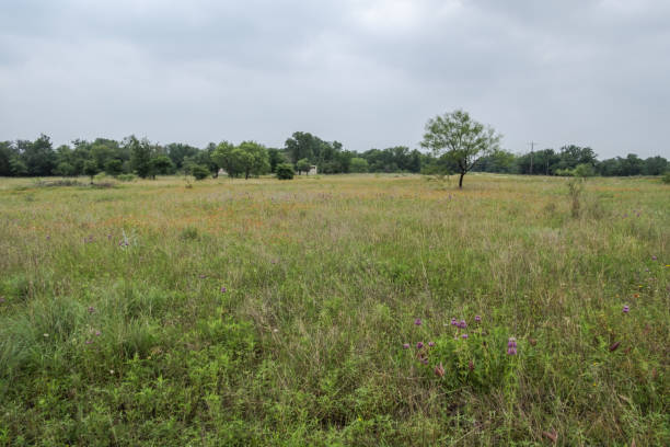 istock Spring in Texas Hill Country 2203175504
