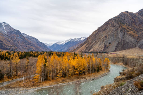 istock Autumn in the mountains 2203181340