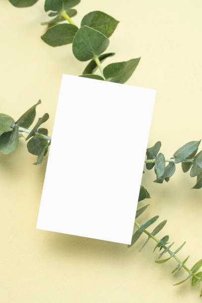 istock Plants and Business Cards Mock-Up 2203181857