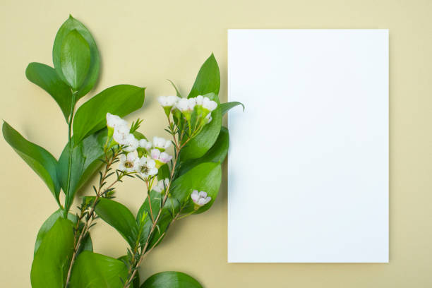 istock Plant and Invitation Card Mock-Up 2203181886