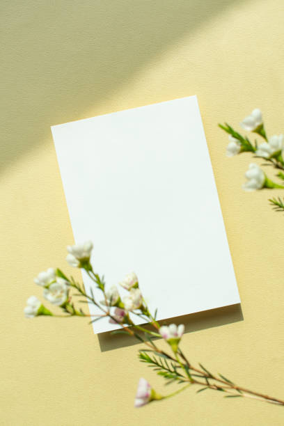 istock Plant and Invitation Card Mock-Up 2203181923