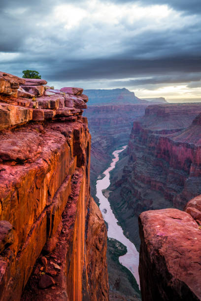 istock Grand Canyon at Toroweap Overlook 2203184868