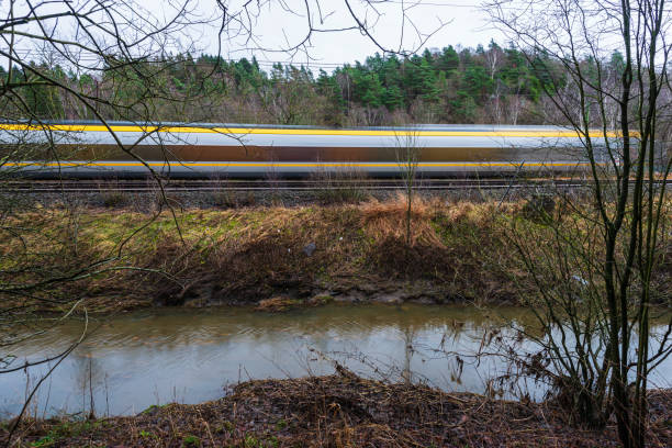 A train swiftly moves by a calm river in Sweden, framed by trees and undergrowth. The overcast sky hints at a cool day, enhancing the tranquil atmosphere of the journey.