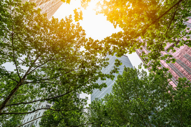 istock modern office building with green leaves. 2203189747