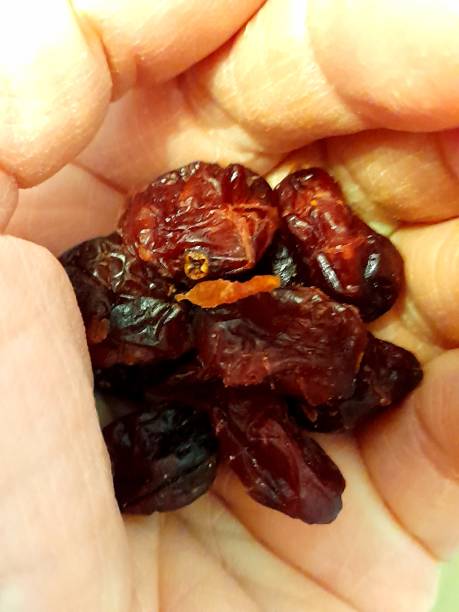istock Dried cranberries in small bowl close up. 2203190850