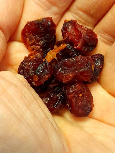 istock Dried cranberries in small bowl close up. 2203190854