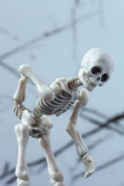 Skeleton figurine is held its lower back. Radiculitis concept, chronic low backpain, kidney inflammation, physical injury, vertebra illness, spine health problems. Skeleton figure suffering backache