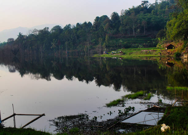 landscape view of lake and trees