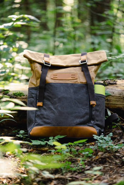 istock Backpack Resting on Forest Floor in the Woods with Greenery 2203202420