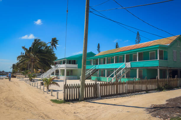 istock Vacation homes lined with palm trees on Caye Caulker beach in Belize under a blue sky 2203202465