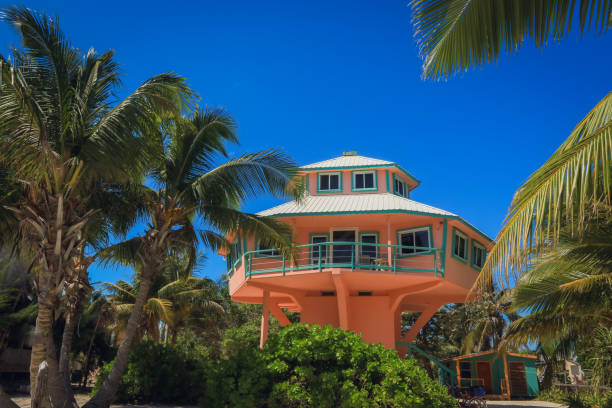A vibrant orange house stands on stilts, surrounded by lush palm trees in Caye Caulker, Belize under clear blue skies.