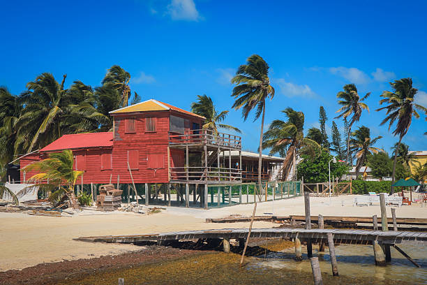 A vibrant wooden building stands on the sandy shores of Caye Caulker, embraced by swaying palm trees under a clear blue sky.