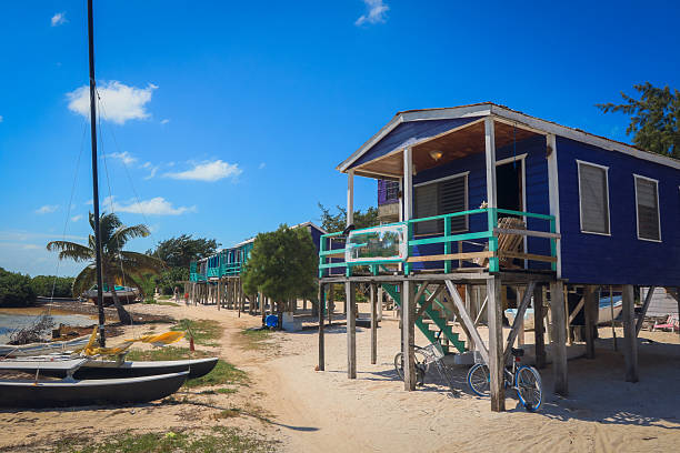 istock Explore colorful beachfront cottages in Caye Caulker Belize during a sunny day 2203202524